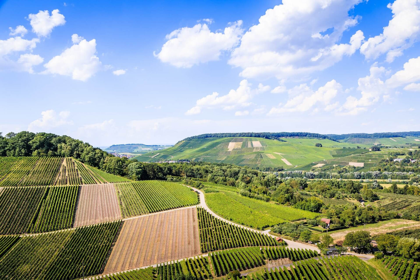 Weingut Roman Schneider Inh. Joachim Schneider